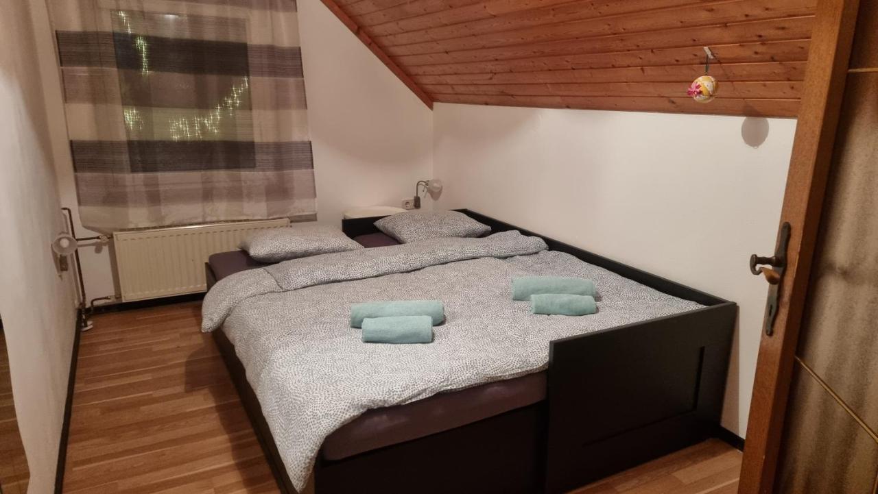 Apartma Ursic 克拉尼斯卡戈拉 外观 照片